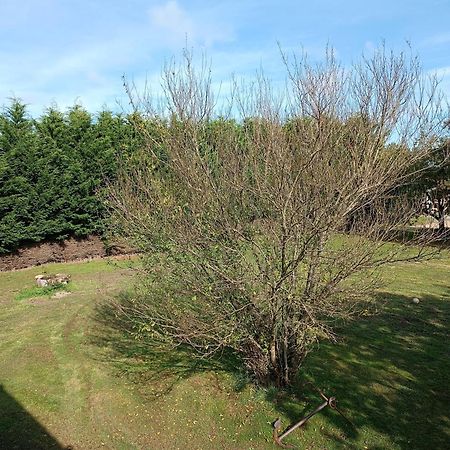 La Rochette - Appartement Les Clouzeaux Buitenkant foto